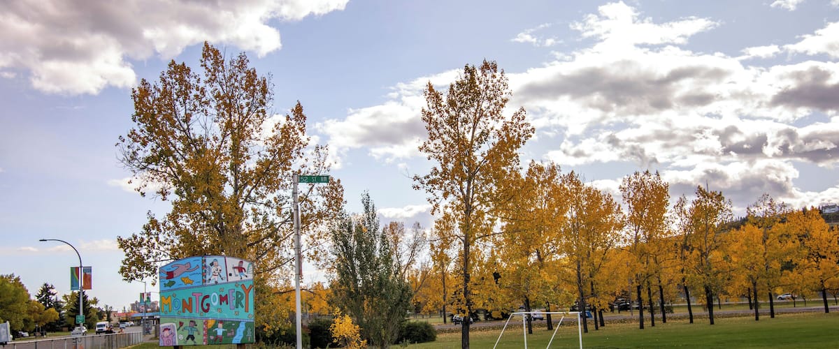 Calgary_Montgomery_553248623752170335-2