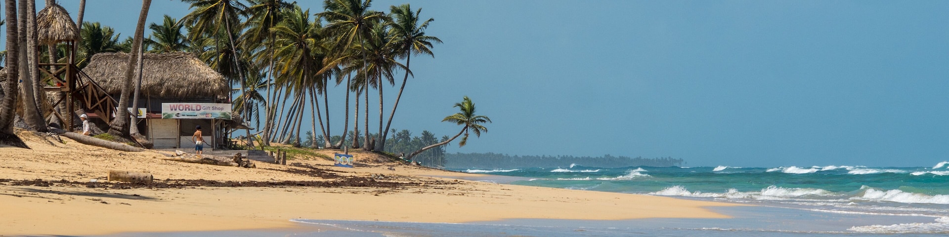 Uma praia com palmeiras, uma cabana com telhado de palha e ondas do oceano.