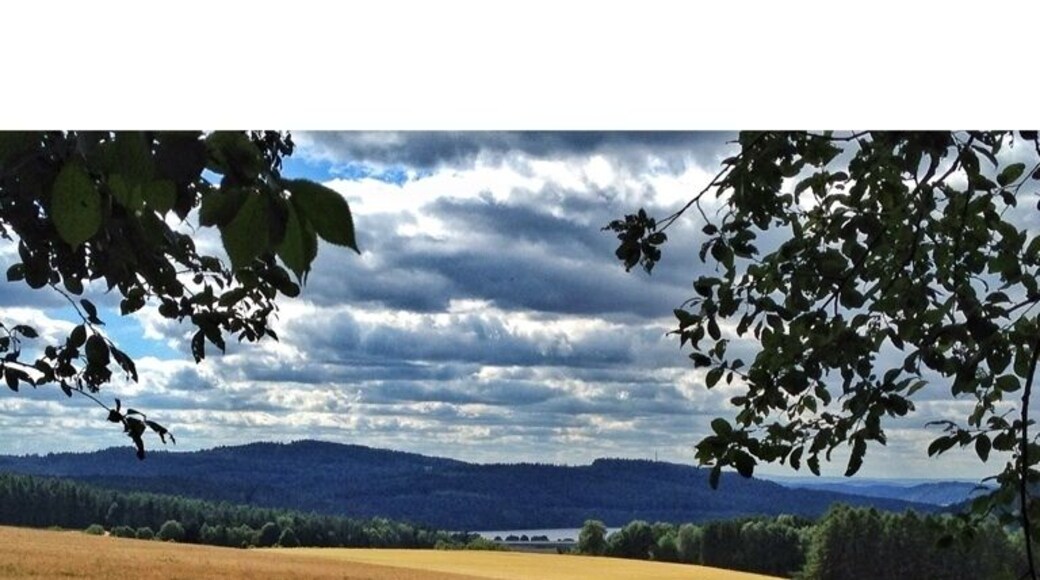 View to the River Dam Ratscher