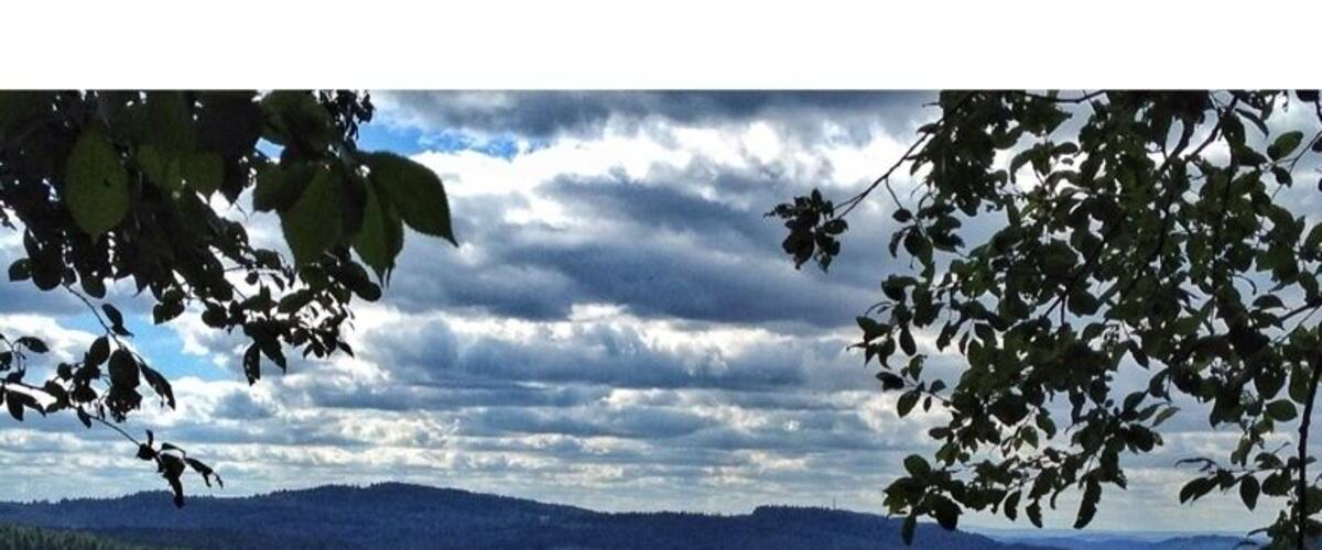 View to the River Dam Ratscher