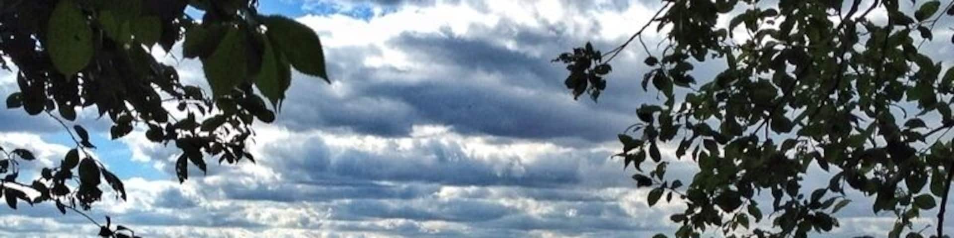 View to the River Dam Ratscher