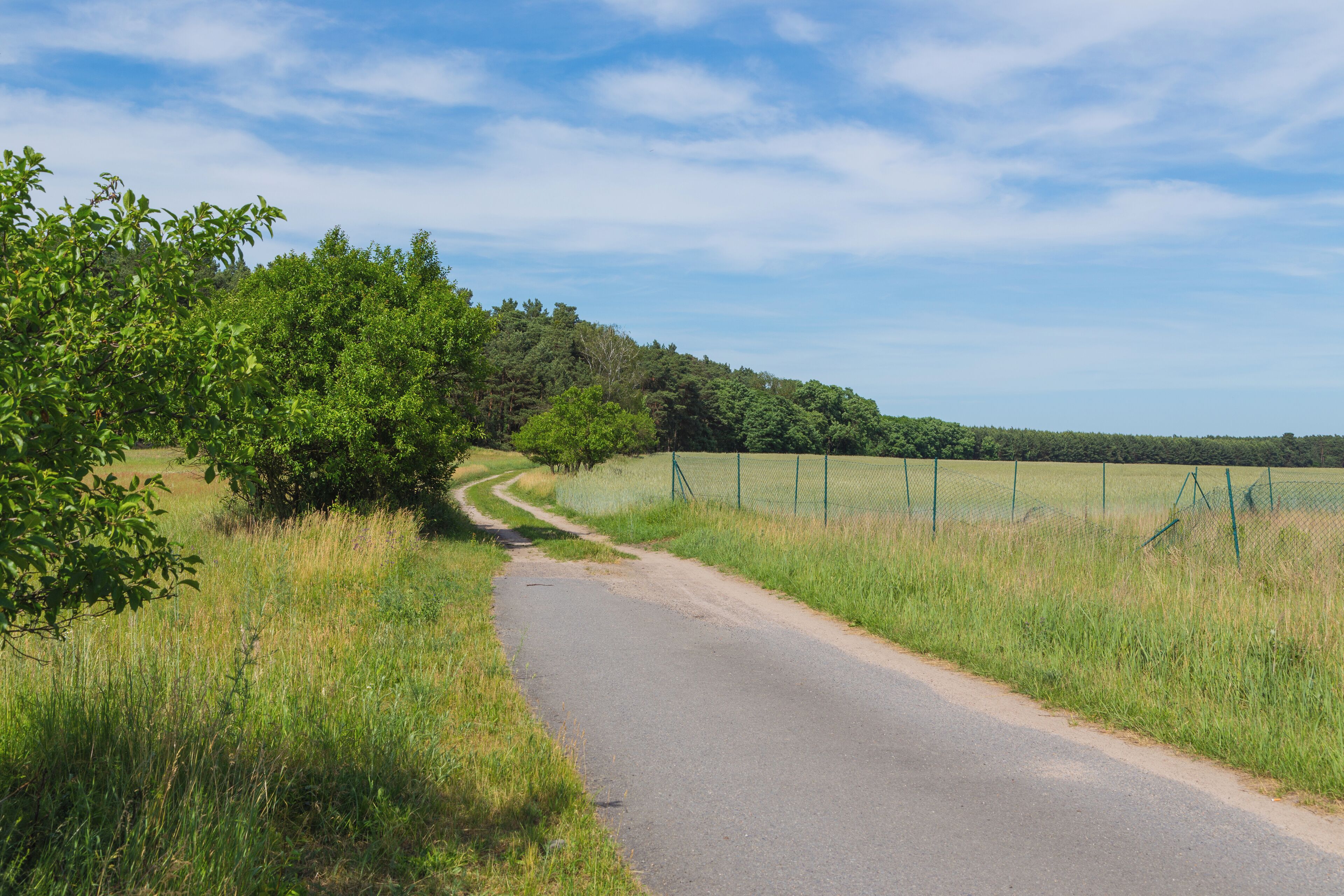 A lane and dirt road near Zeust, a district of Friedland, Landkreis Oder-Spree, Brandenburg, Germany.