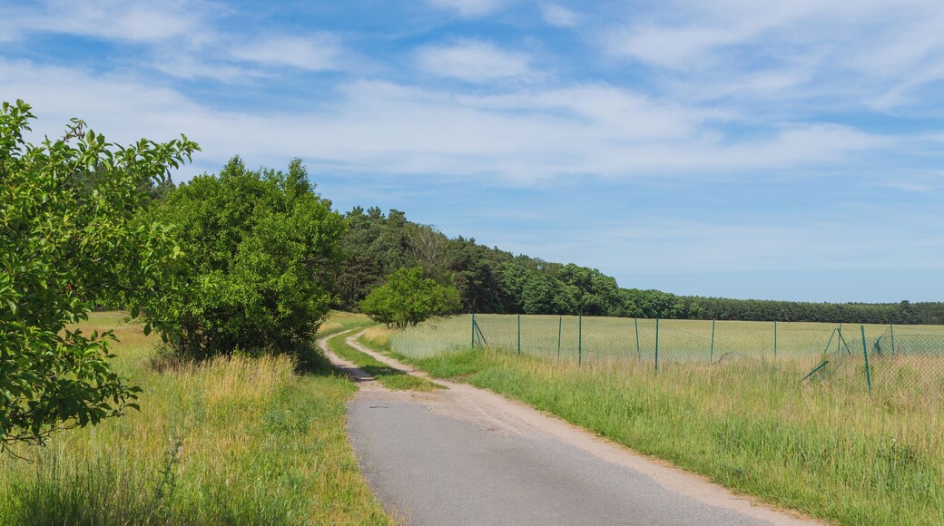 A lane and dirt road near Zeust, a district of Friedland, Landkreis Oder-Spree, Brandenburg, Germany.