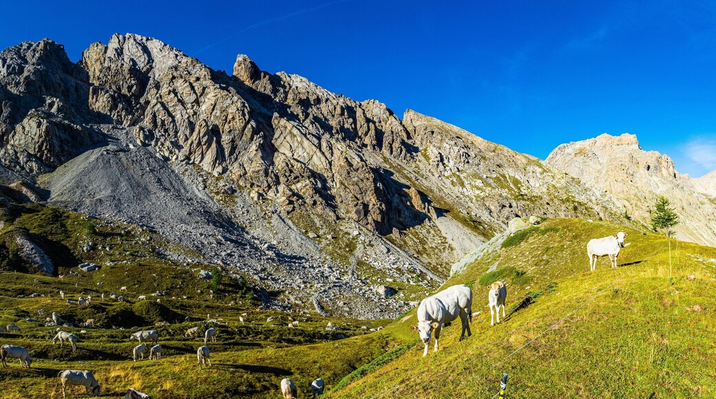 Alta Valle Maira - Cuneo - Acceglio: il tour dei sette passi partendo da Prato Ciarliero
