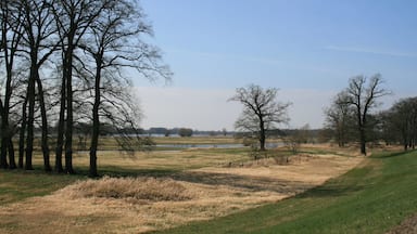 Die Elbe vom Deich aus in Richtung SĂŒdwesten
