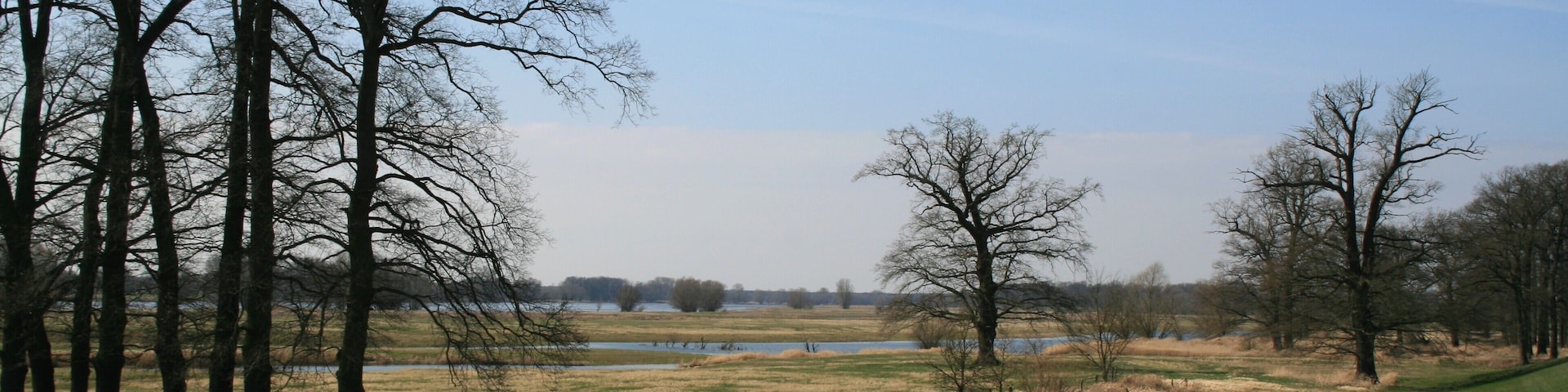 A grassy field with leafless trees and a body of water in the distance.