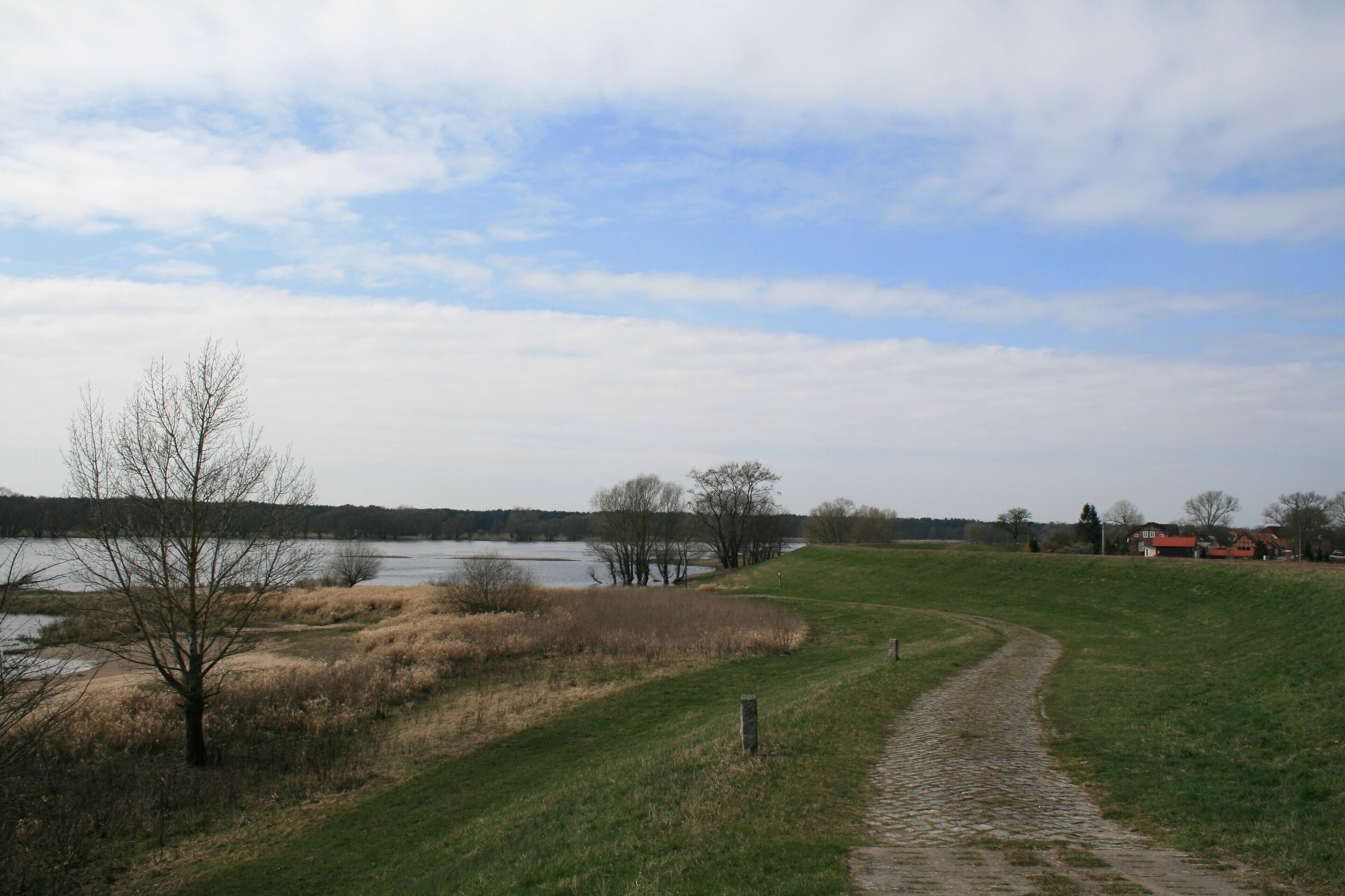 Die Elbe auf Höhe der Siedlung in Richtung Westen gesehen