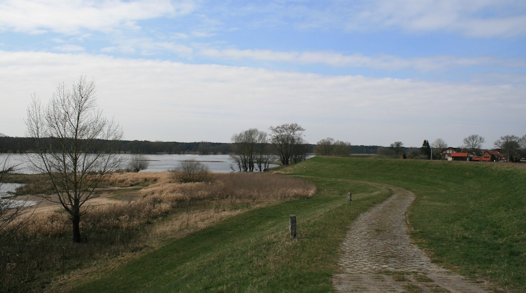 Die Elbe auf Höhe der Siedlung in Richtung Westen gesehen