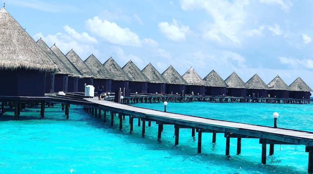 A beautiful paradise.
#maldives
#trip
#travel