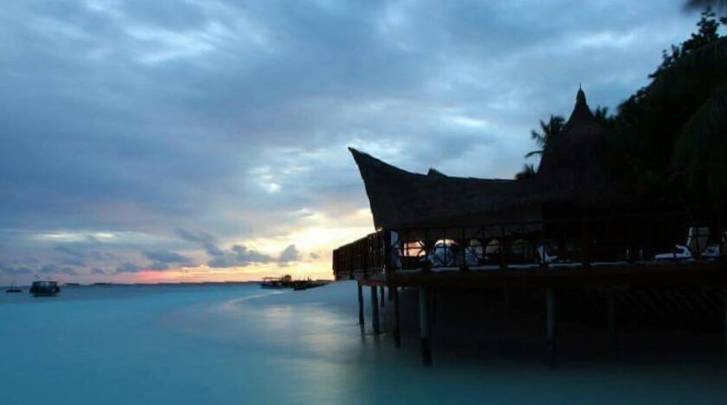 Marvellous little island in Maldives that has everything! Great snorkeling site with great service and mesmerising views all round.