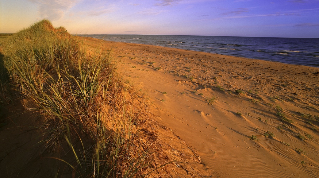 Sand Dunes, Grass and Beach, Blooming Point, Prince Edward Island National Park, Prince Edward Island, Canada