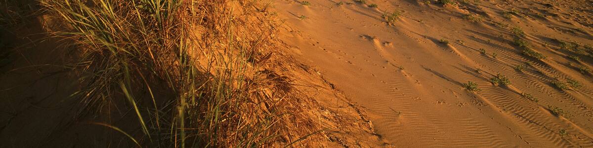 Sand Dunes, Grass and Beach, Blooming Point, Prince Edward Island National Park, Prince Edward Island, Canada