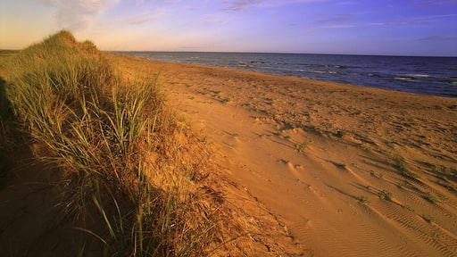 Sand Dunes, Grass and Beach, Blooming Point, Prince Edward Island National Park, Prince Edward Island, Canada