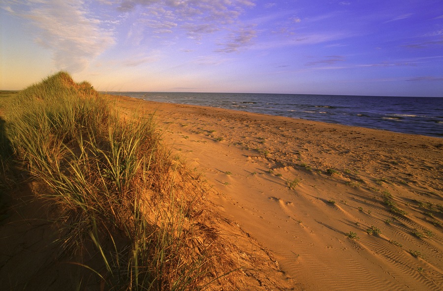 Sand Dunes, Grass and Beach, Blooming Point, Prince Edward Island National Park, Prince Edward Island, Canada
