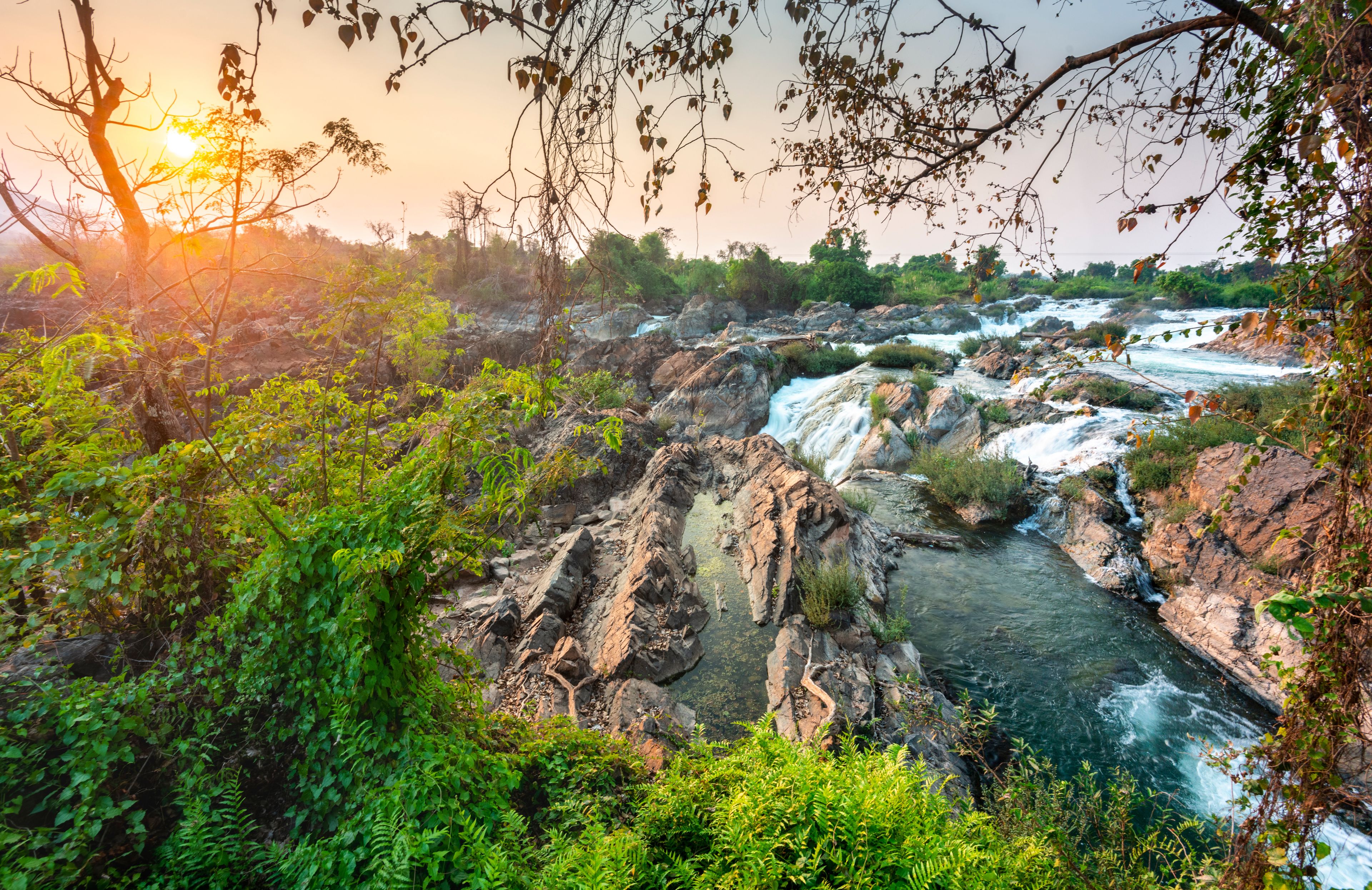 A river flowing through a rocky landscape with dense foliage and trees.