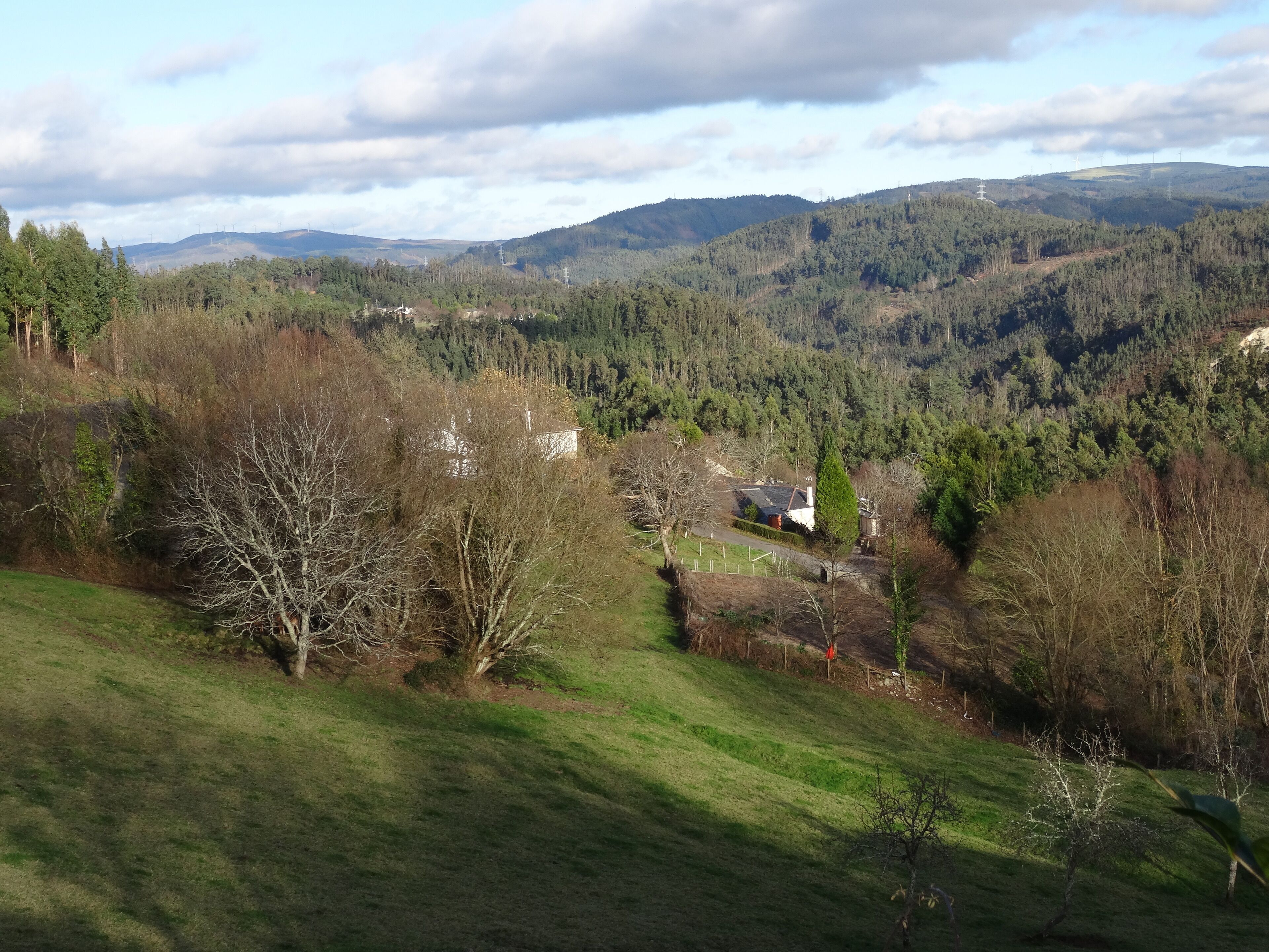 A rural landscape with rolling hills, dense forests, and wind turbines in the distance.