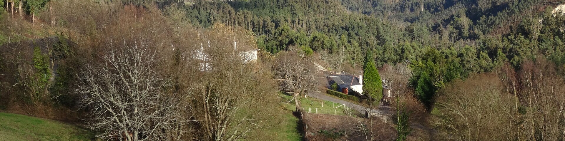 A rural landscape with rolling hills, dense forests, and wind turbines in the distance.