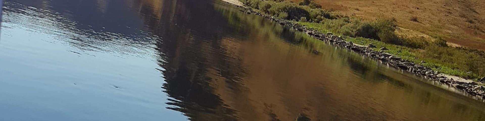 Sturgeon fishing on a beautiful September morning.
#Great
Outdoors