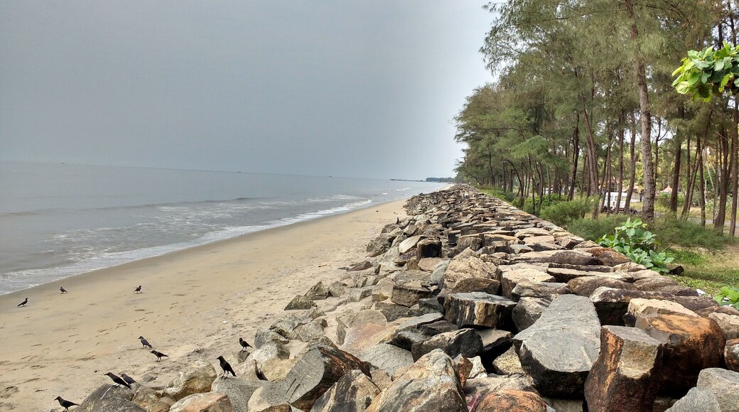 Cherai a Beach Destination at Ernakulam , Kerala