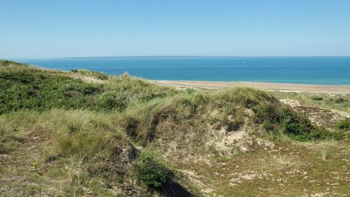 Les Moitiers-d'Allonne (Manche) Entre les caps de Carteret et celui du Rozel, s'étale, sur 400 hectares, le puissant massif dunaire d'Hatainville. Il s'élève à 86 mètres en recouvrant d'anciennes falaises vieilles de plus de 70000 ans. Les sables des dunes d’Hatainville s’appuient sur une falaise fossile de grès et de schistes. Cette formation de « dunes perchées », dont certaines culminent à 80 m, est l’une des plus spectaculaires d’Europe. Elle est née, notamment, de la remontée progressive du niveau marin après la dernière glaciation, voici 12 000 ans. Le massif dunaire présente une grande diversité : des dunes basses ou hautes (culminant à 86 m !), sèches ou humides (25 hectares de mares et de dépressions inondables), dunes vives (dont les formes ne sont pas stabilisées faute de végétation) et dunes blanches (presque sans couverture végétale), dunes grises (couvertes de végétation basse) et landes. Diversité qui s’accompagne d’une richesse de la faune(triton crêté, crapaud calamite...) et de la flore (oeillet de France, gentiane amère, pyrole à feuilles rondes, littorelle...) Des dunes, autrefois mobiles, ont été stabilisées par l'édification de clôtures en bois et la plantation massive d'oyats. www.conservatoire-du-littoral.fr/siteLittoral/48/28-dunes... fr.wikipedia.org/wiki/Dunes_d%27Hattainville
