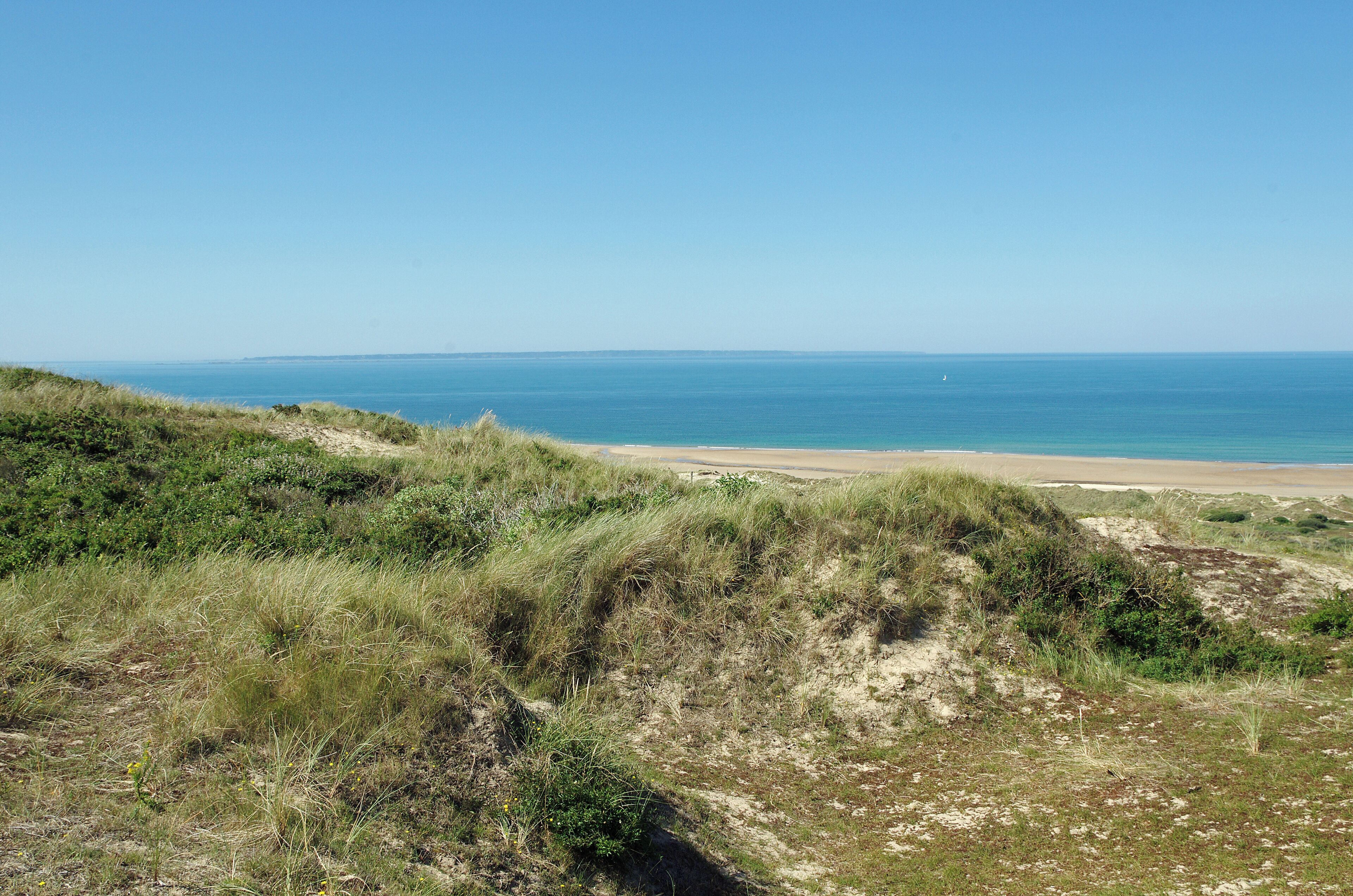 A coastal landscape with grassy dunes and a sandy beach.