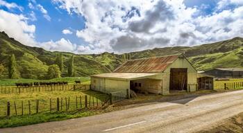 Manunui