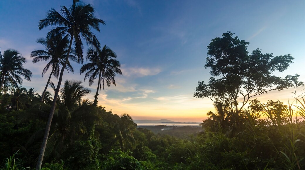 Sunset at Tagaytay ridge in Lemery, Batangas Center view of Batangas and Mindoro in the horizon, framed by near silhouette of trees