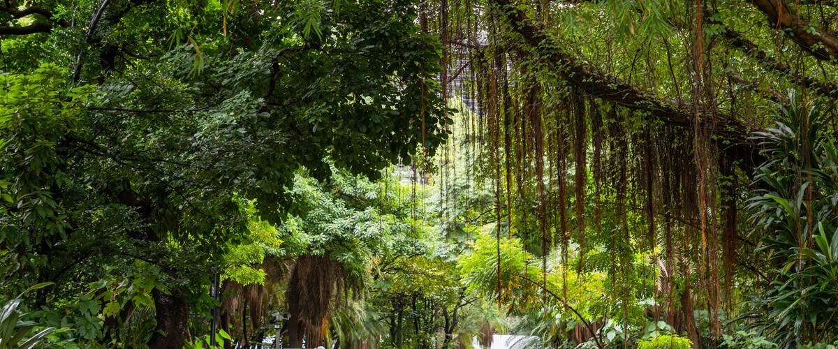 Songshan Cultural and Creative Park