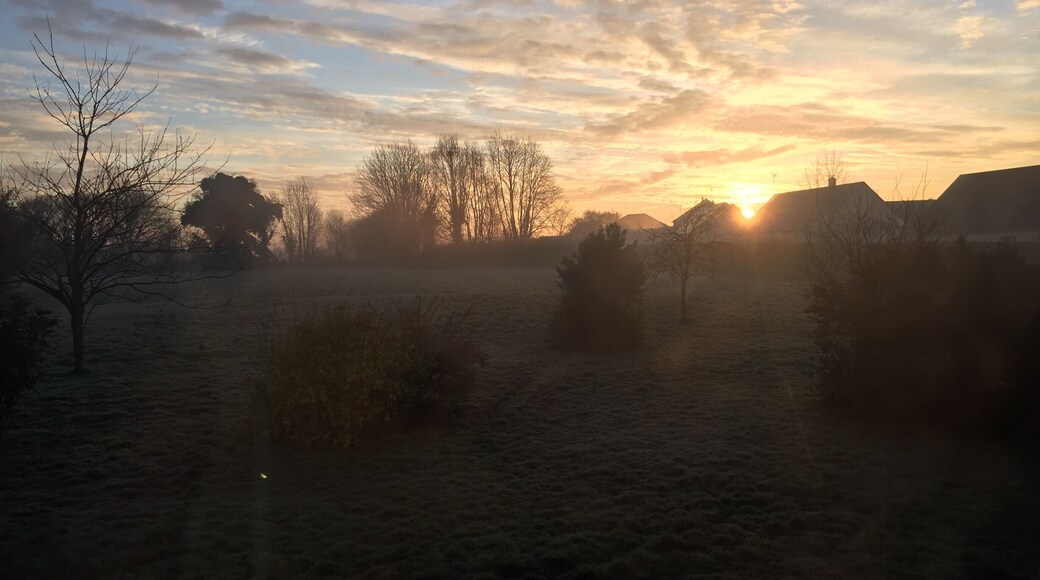 Good #morning #world