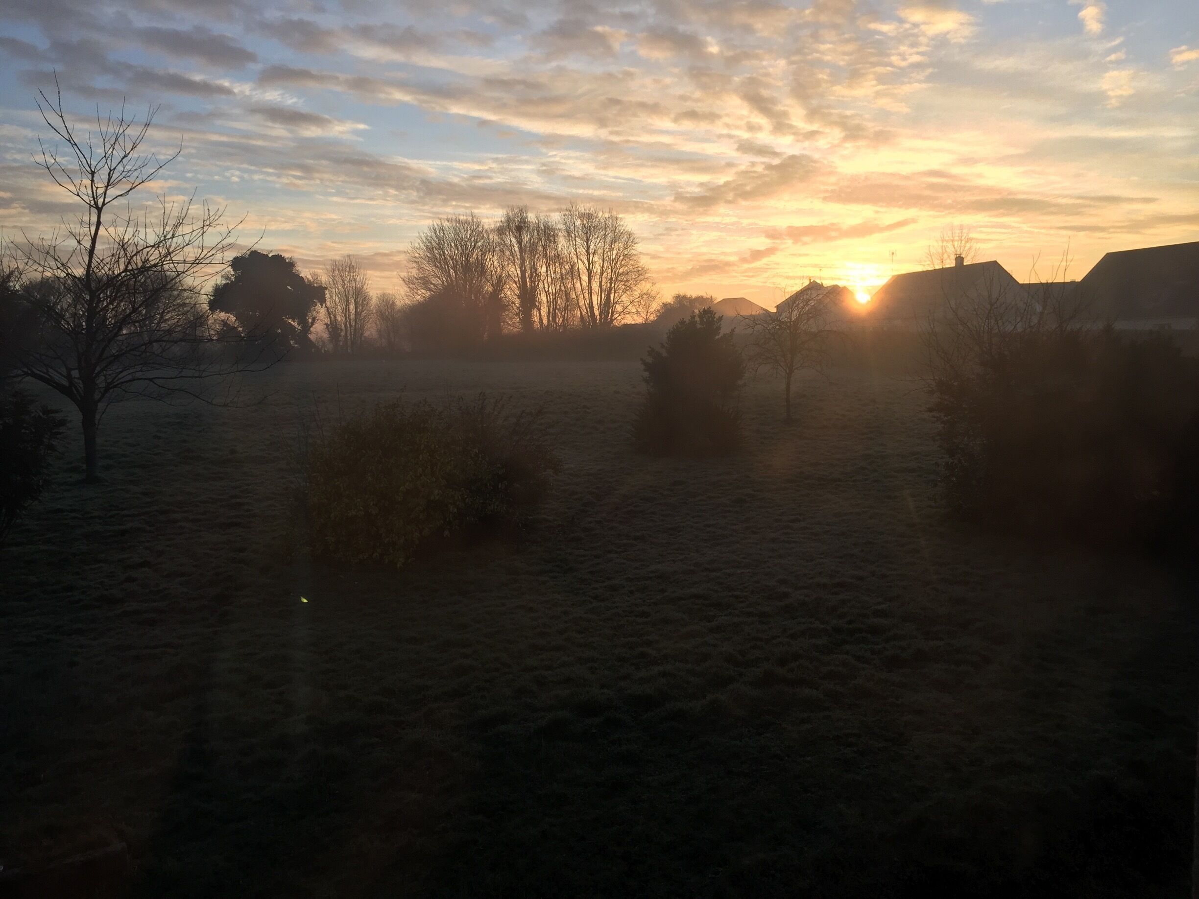 A frosty landscape with trees and a sunset.
