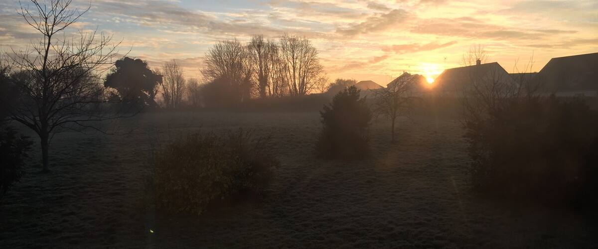 A frosty landscape with trees and a sunset.