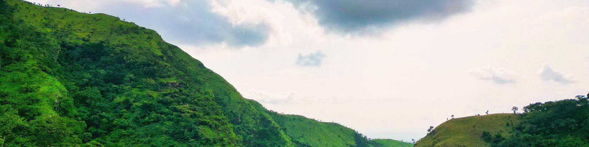 Aerial view of verdant slopes and dense forest canopy merging towards the distant horizon, creating a vibrant tapestry of green, Wli, Volta Region, Ghana.