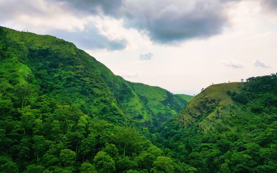 Aerial view of verdant slopes and dense forest canopy merging towards the distant horizon, creating a vibrant tapestry of green, Wli, Volta Region, Ghana.