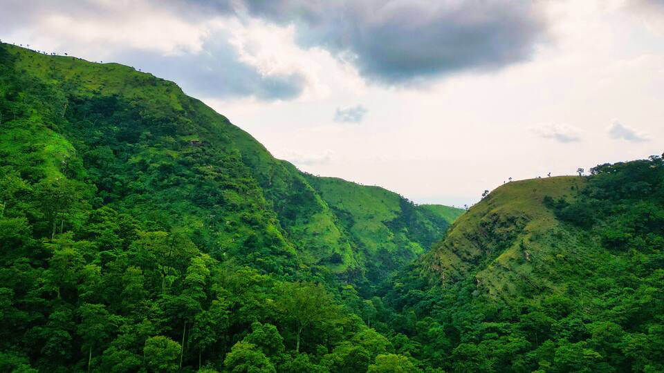 A lush green valley with dense forest and rolling hills under a cloudy sky.