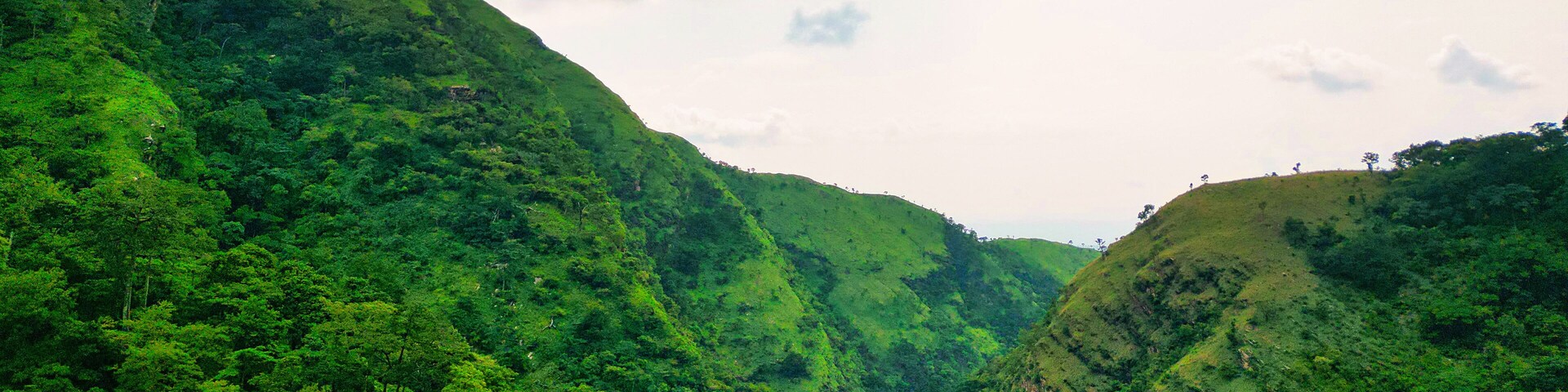 Aerial view of verdant slopes and dense forest canopy merging towards the distant horizon, creating a vibrant tapestry of green, Wli, Volta Region, Ghana.