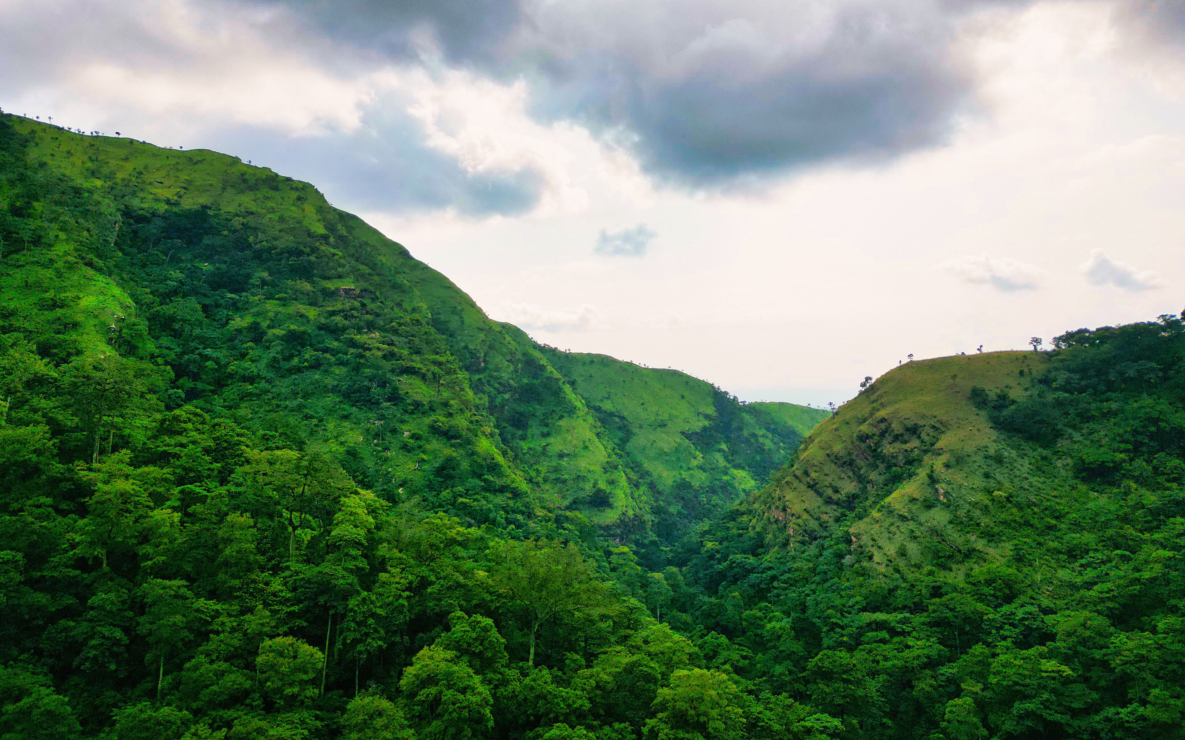 A lush green valley with dense forest and rolling hills under a cloudy sky.