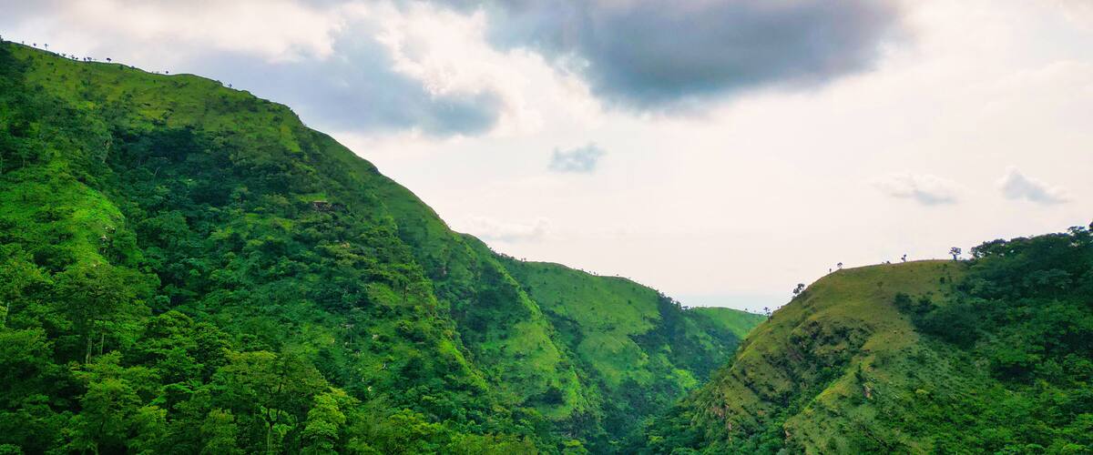 A lush green valley with dense forest and rolling hills under a cloudy sky.