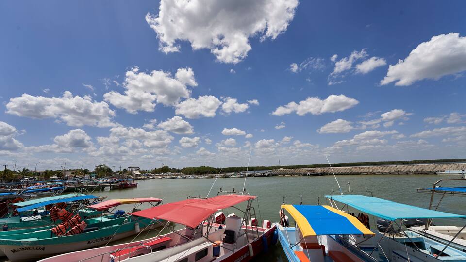 A marina with various boats docked, a clear blue sky, and a distant shoreline.