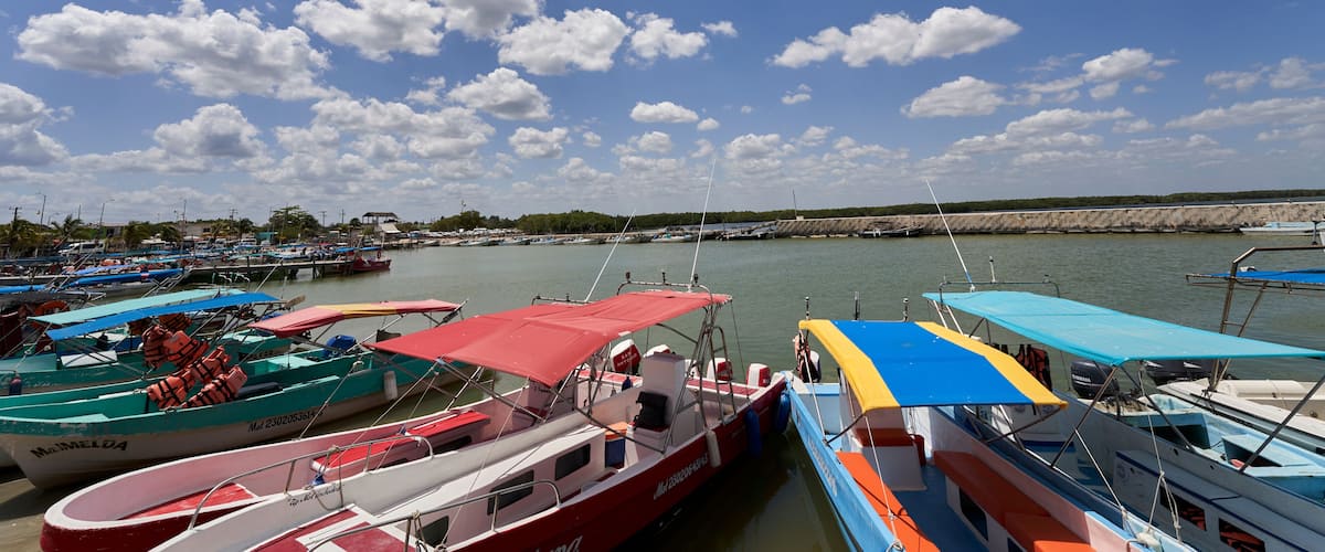A marina with various boats docked, a clear blue sky, and a distant shoreline.