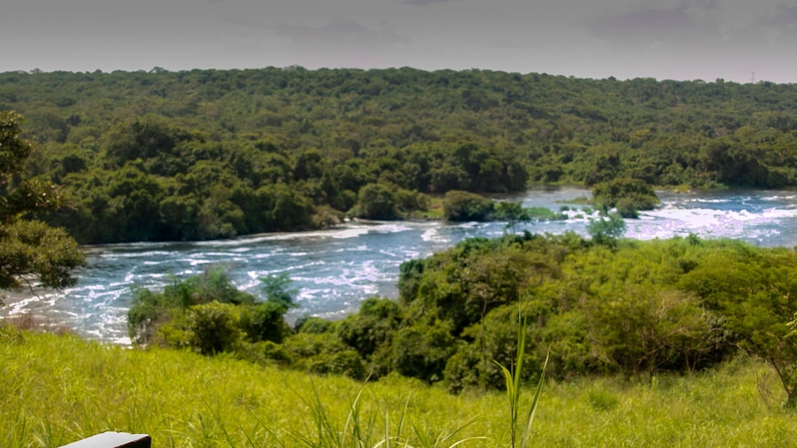 Un río serpentea por una zona boscosa y densa, con abundante vegetación y colinas al fondo.