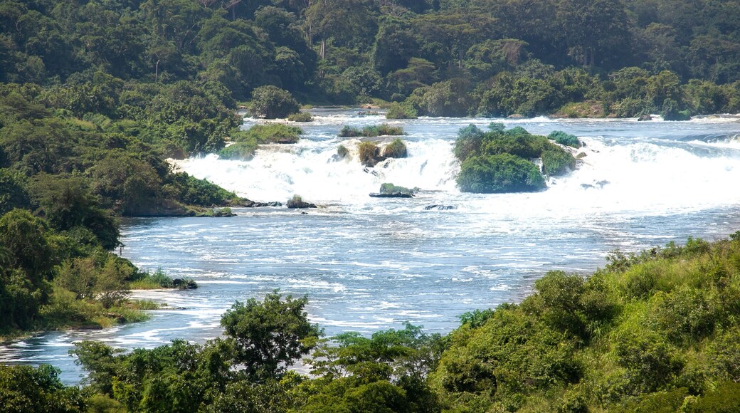 ์นด๋ฃจ๋ง