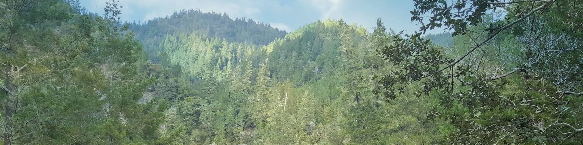 From 101 we took a nice twisty drive through the mountains on Skaggs Spring Road to the #California northern coast of Hwy 1. Beautiful scenery with many photo opportunities along the way. A drive full of #Fun & #Adventure.