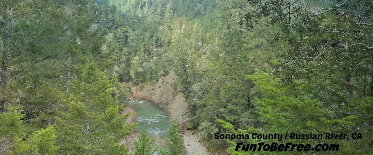 A river winding through a dense forest in Sonoma County, CA.