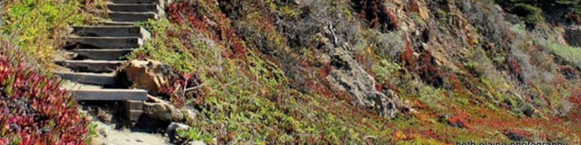 Somewhere along Hwy 1 between Stewart's Point and Bodega bay...
Just Go drive....you will find it, and a lot of other beautiful spots