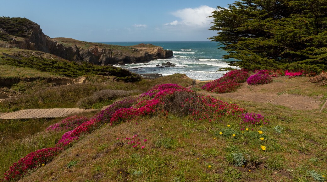 Shoreline of Stewarts Point, California, USA, an unincorporated community in Sonoma County, California, USA