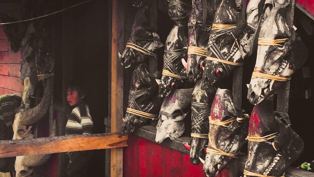 Off the beaten track: This a remnant of the traditional animist belief that animals need to be sacrificed to please local spirits. #culture