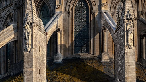 ๋ฐ๋ฅด๋ธ๋น