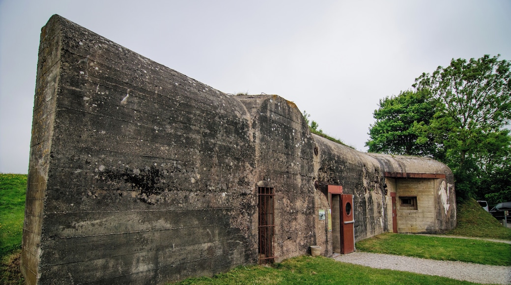 La Batterie d'Azeville. Tokina AT-X Pro SD 12-24mm F4 (IF) DX