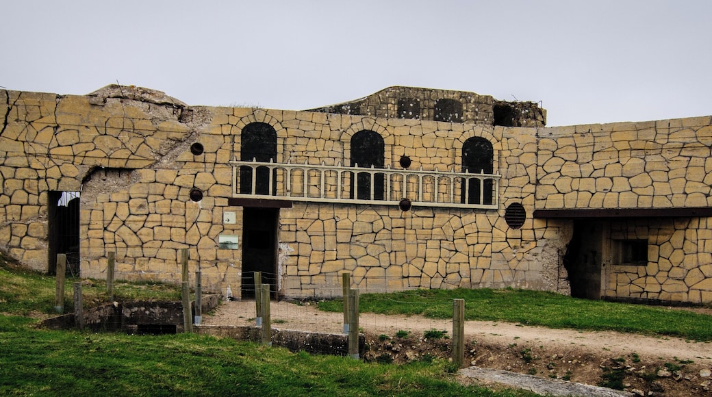 La Batterie d'Azeville. Tokina AT-X Pro SD 12-24mm F4 (IF) DX