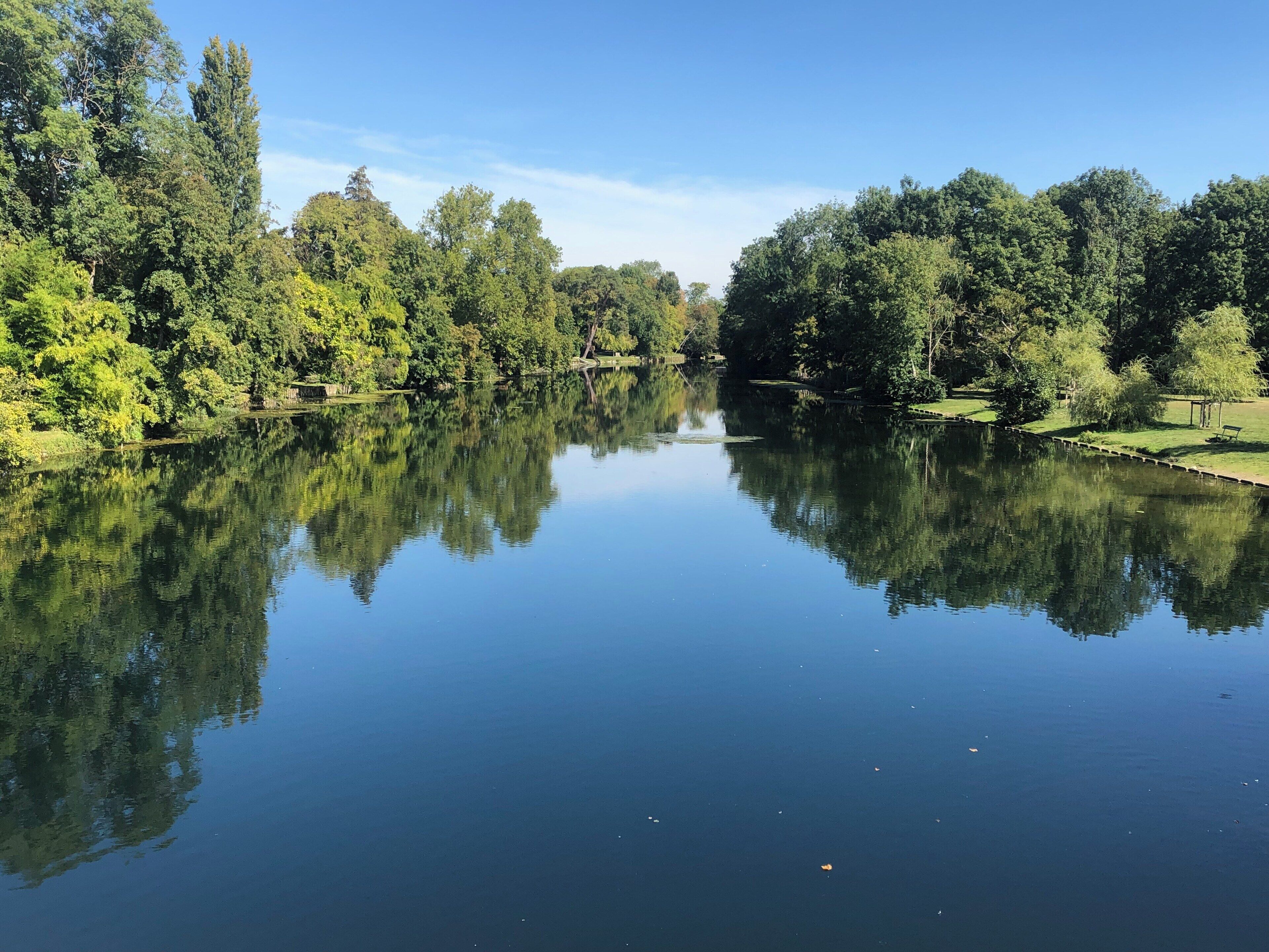 A calm river reflecting trees and a clear sky.